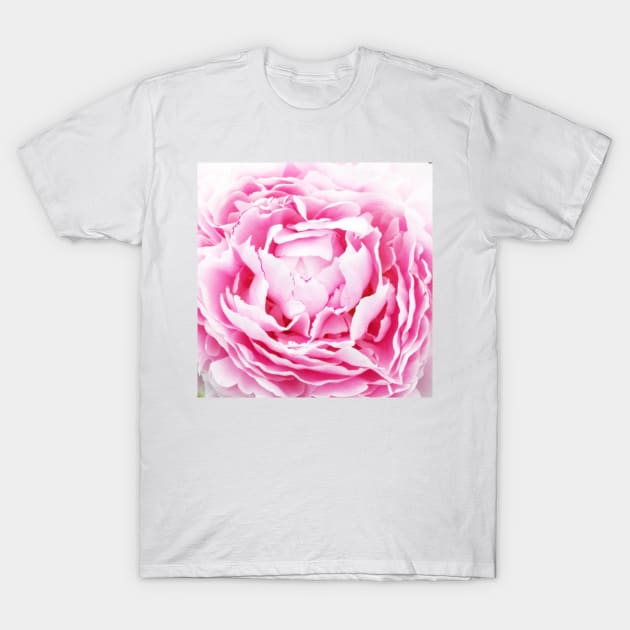 contemporary petals shabby chic french country pink peony T-Shirt by Tina